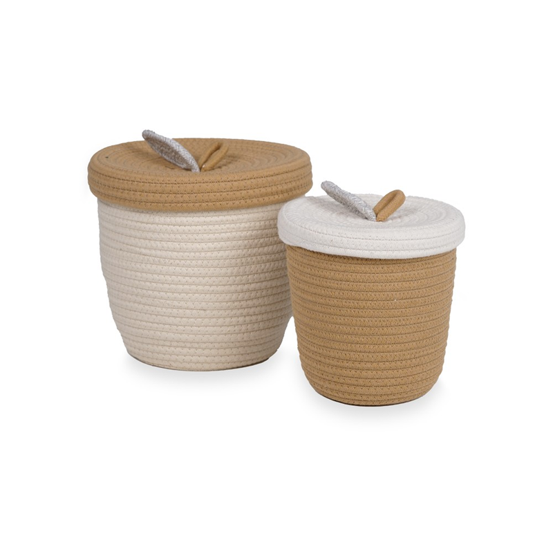 Basket Boyan Set Of 2