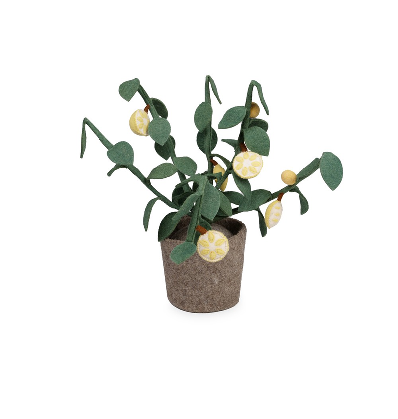 Plant Green 56cm