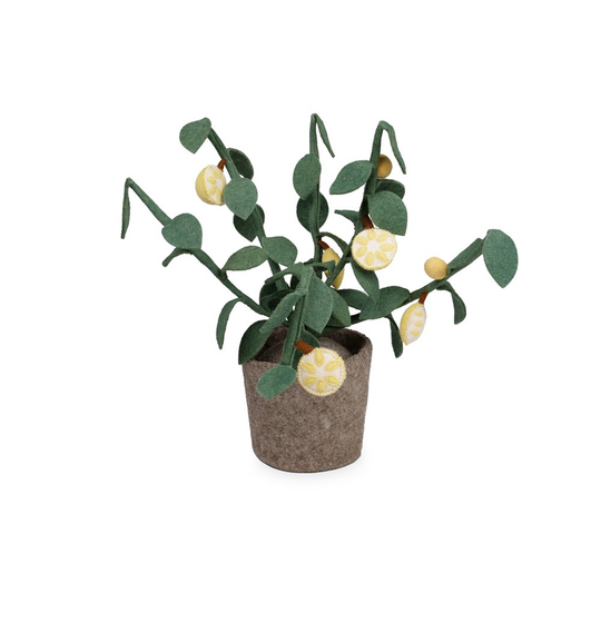 Plant Green 56cm