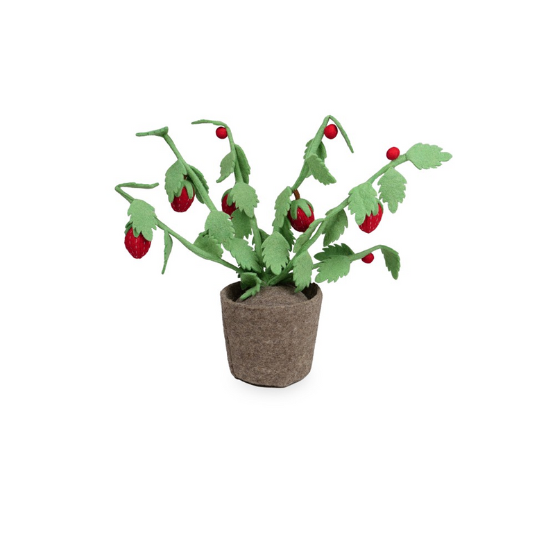 Plant Green 56cm
