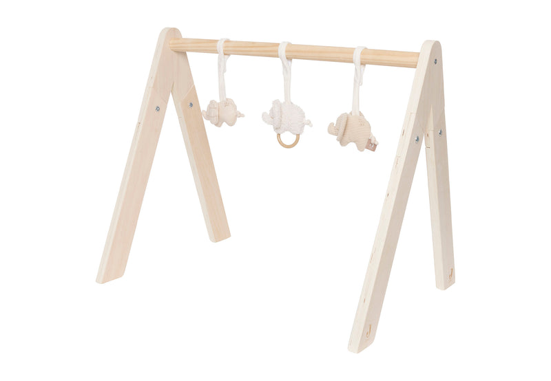 Babygym Toys