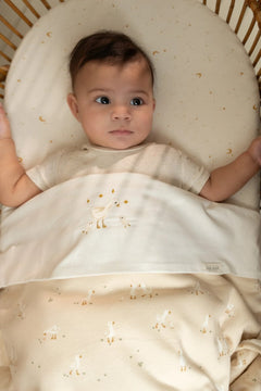 LD Flat Sheet Embroidered