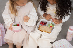 LD Bento Lunch Box Campus