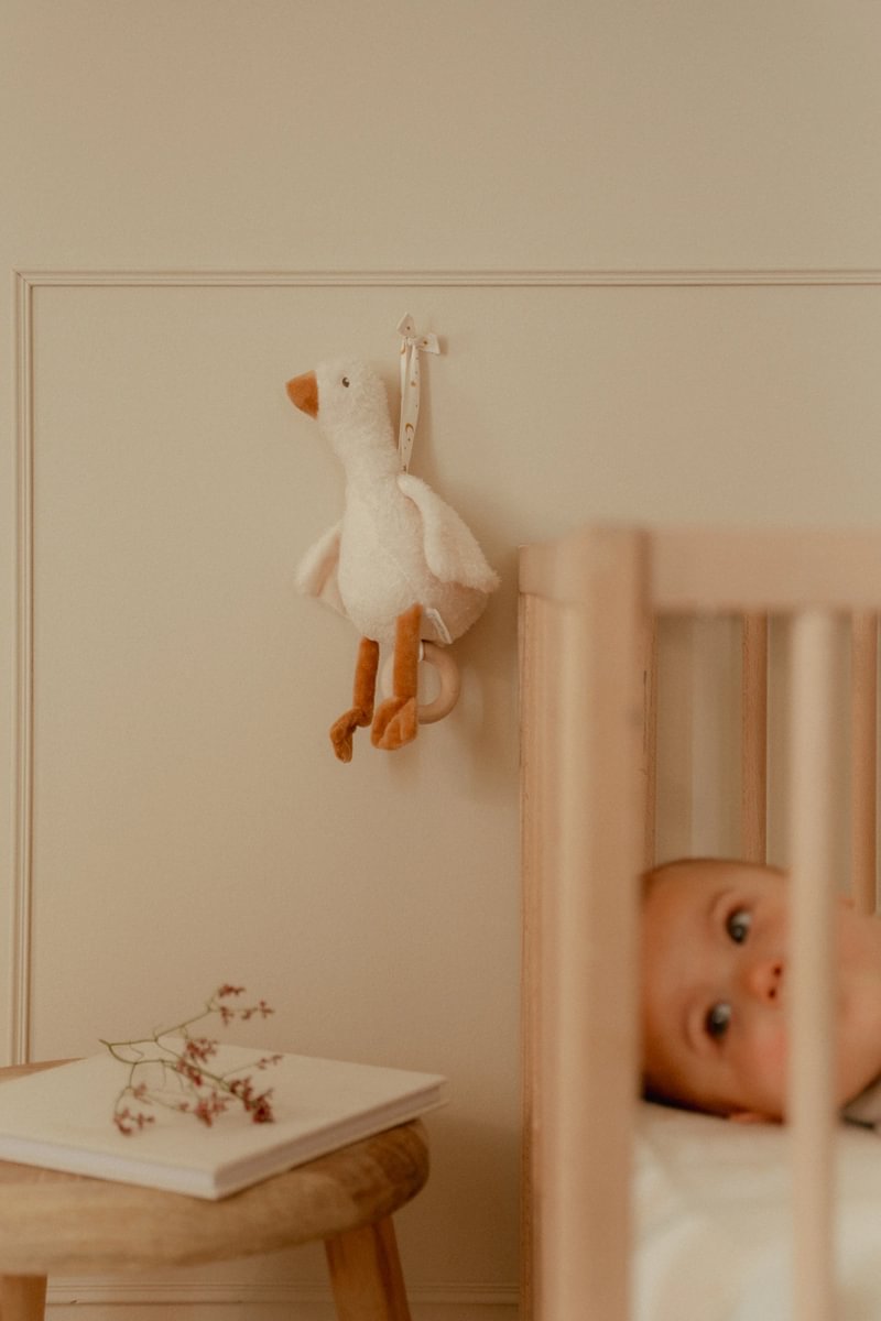 LD Music Box Little Goose