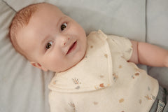 LD Bandana Bib  Multi Color 2 Pack