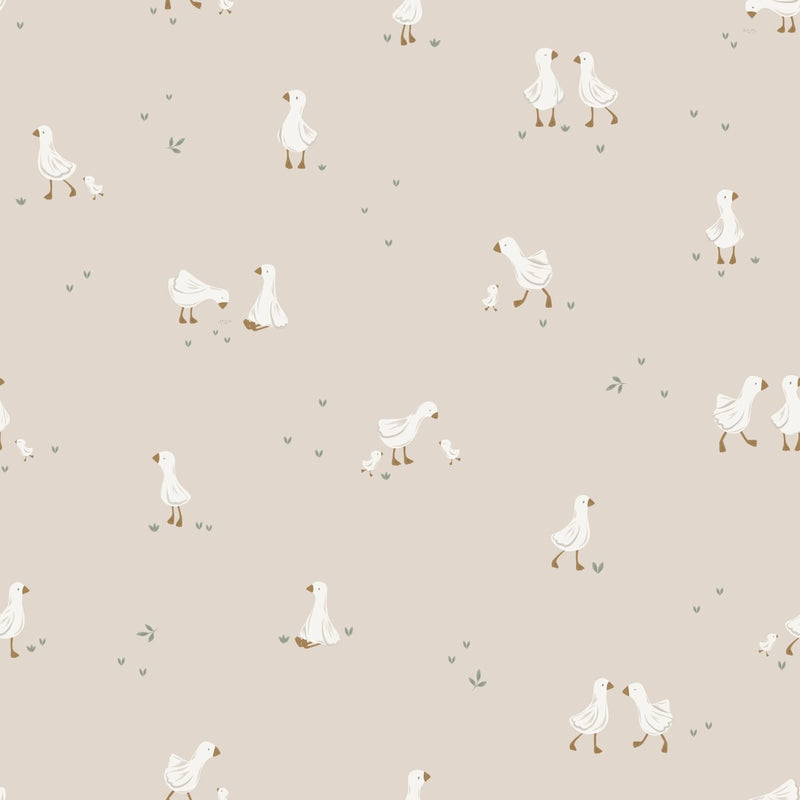 Wallpaper Roll Width 50 CM x 10 Meters