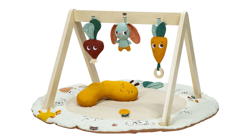 TL Luxe Gymini Sustainable