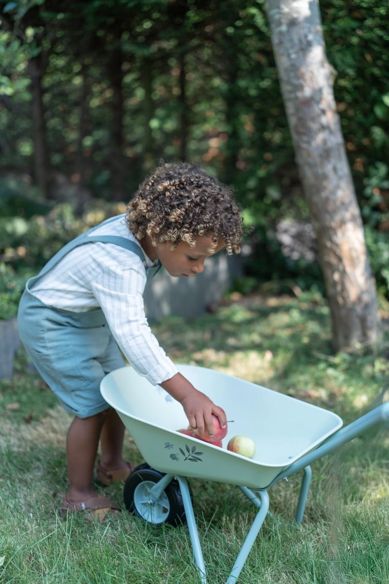 LD  Wheelbarrow FSC