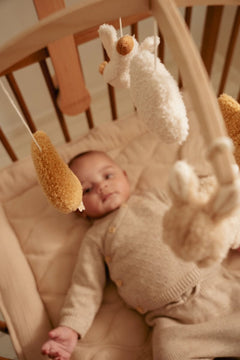 LD Mobile Newborn Naturals FSC