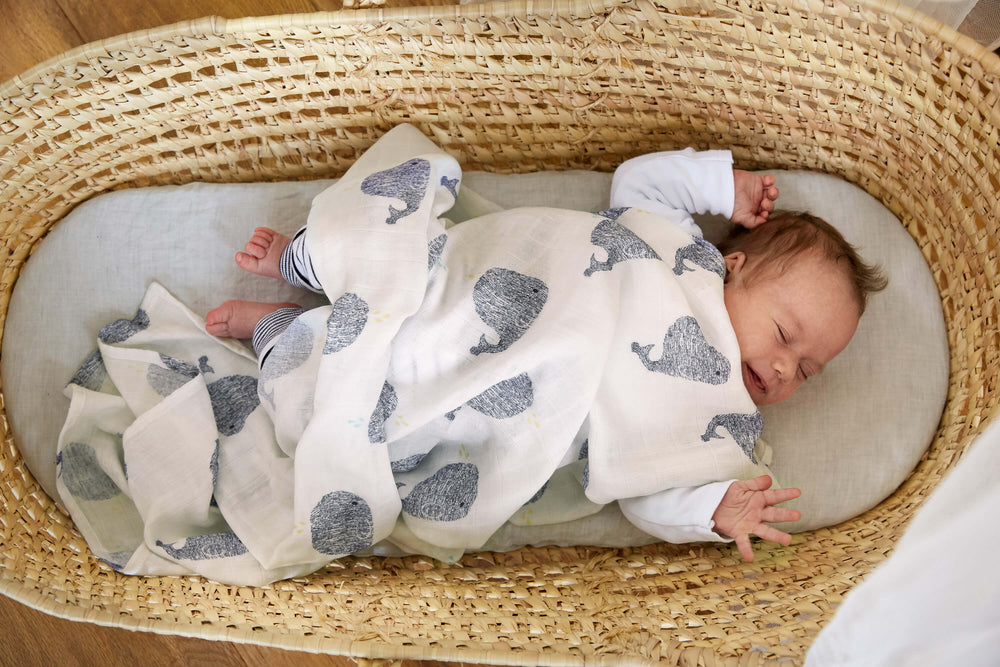 Heavenly Soft Bamboo Swaddle 2 pack