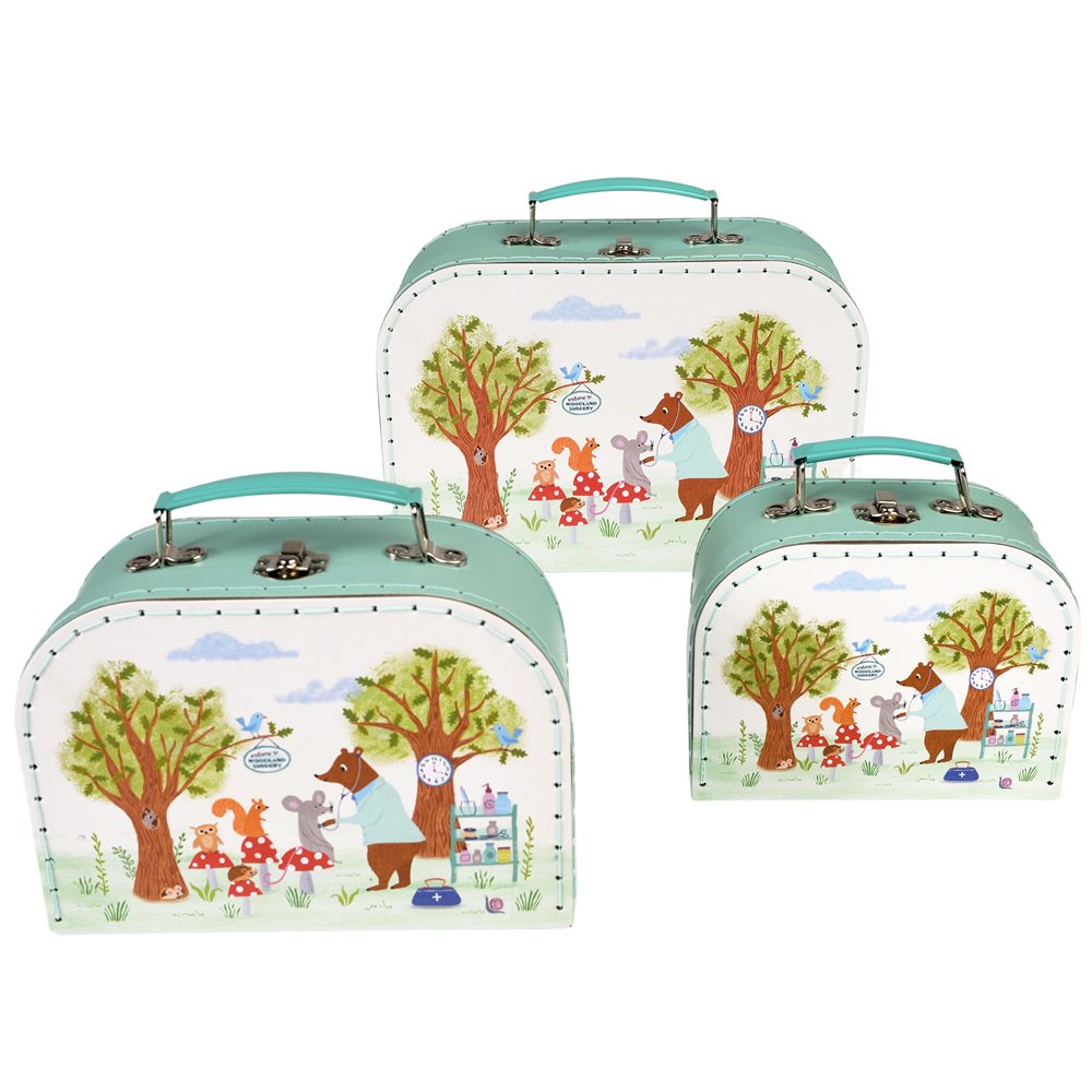 Storage  Cases (set of 3)