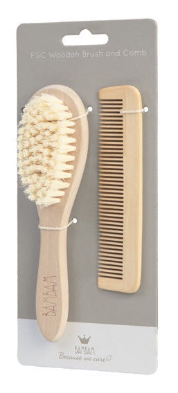 Eco Friendly Brush & Comb