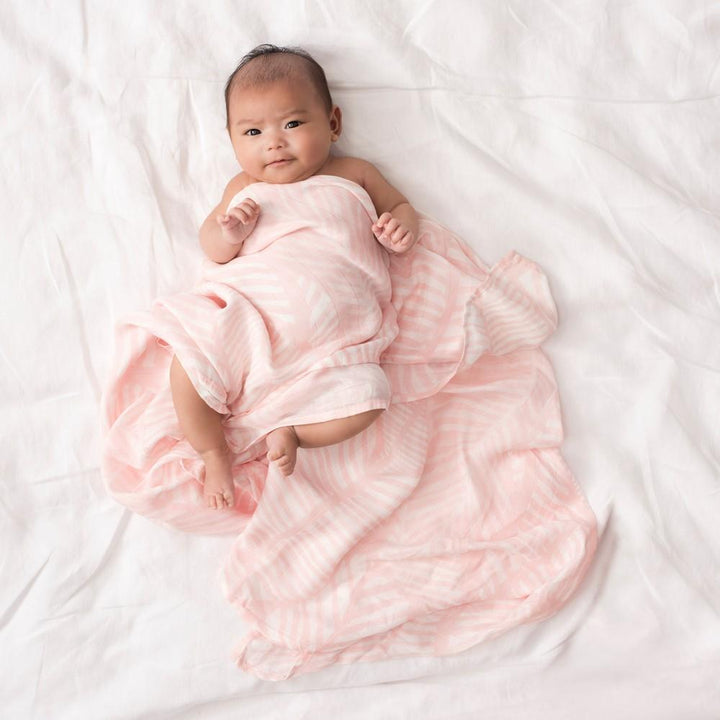 Aden & Anais Swaddle  3 pack