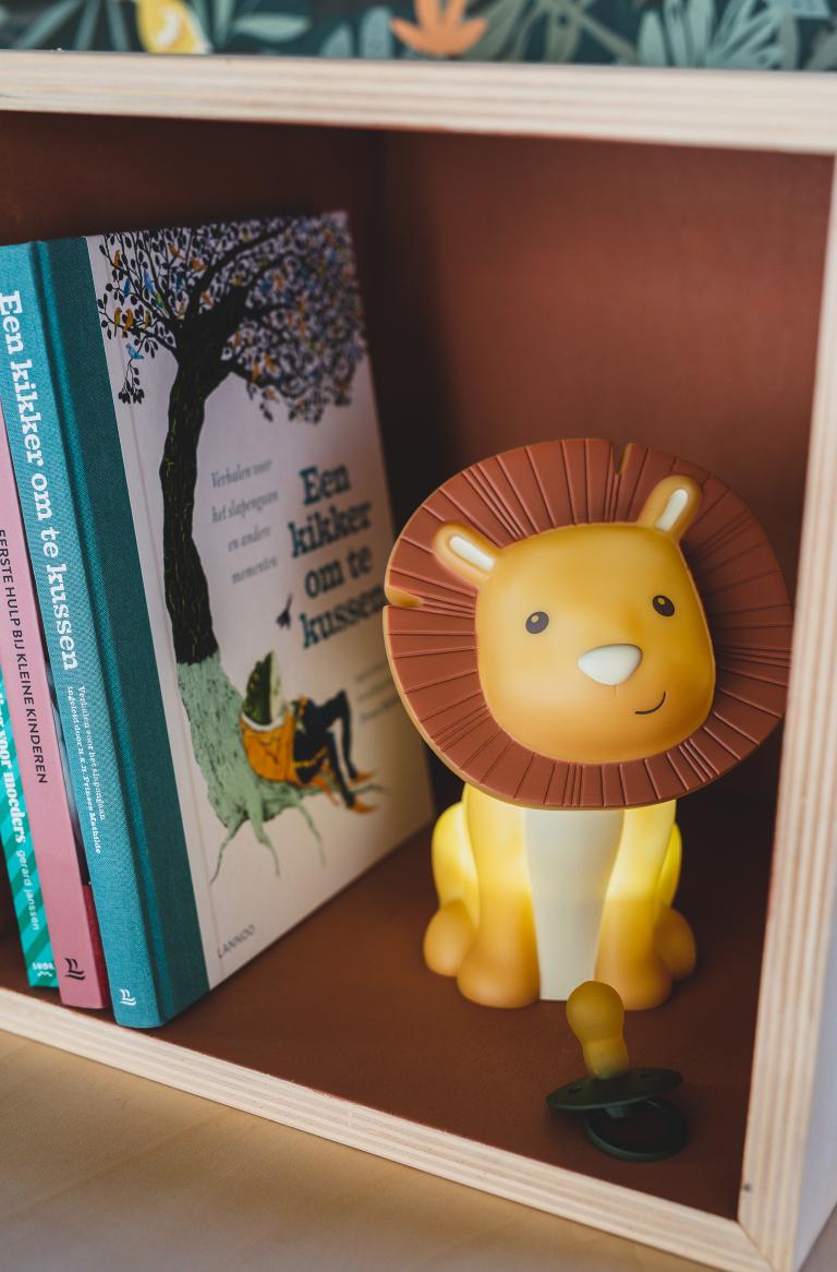 Money Box Hakuna Lion