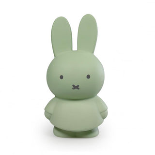 Money Box Miffy