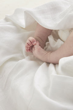 Organic Hydrophilic Starter Set 12- Pack