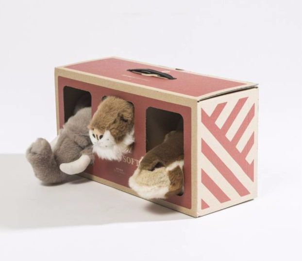 Wall Trophy Safari Gift Box