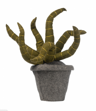 Plant Felt