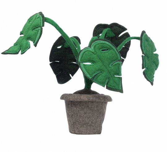 Plant Felt