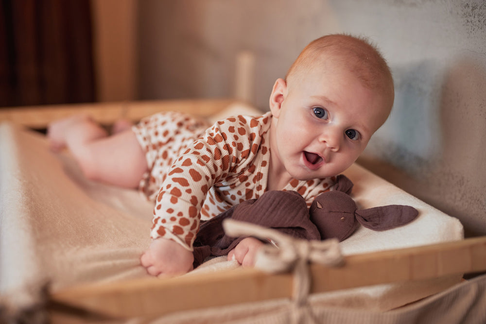 Pacifier Cloth Bunny Ears