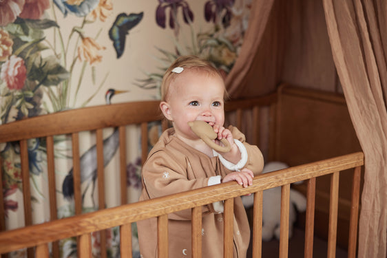 Jollein Teething Toy