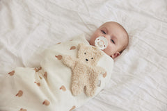 Pacifier Cloth Teddy Bear