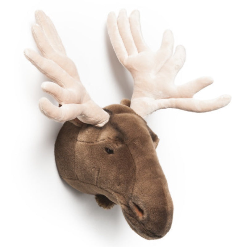 Wall Trophy Moose